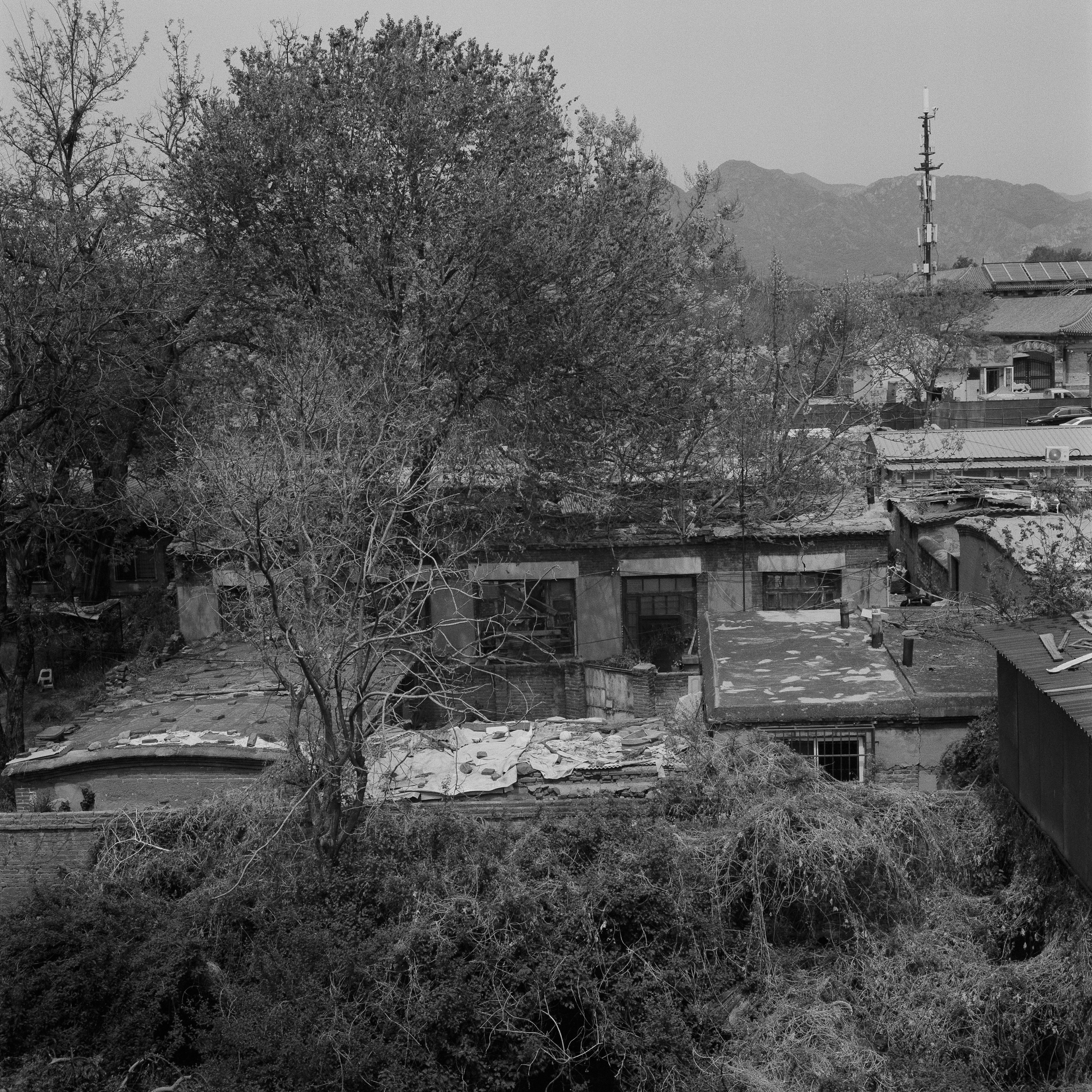 Between Mountains and Sea 27