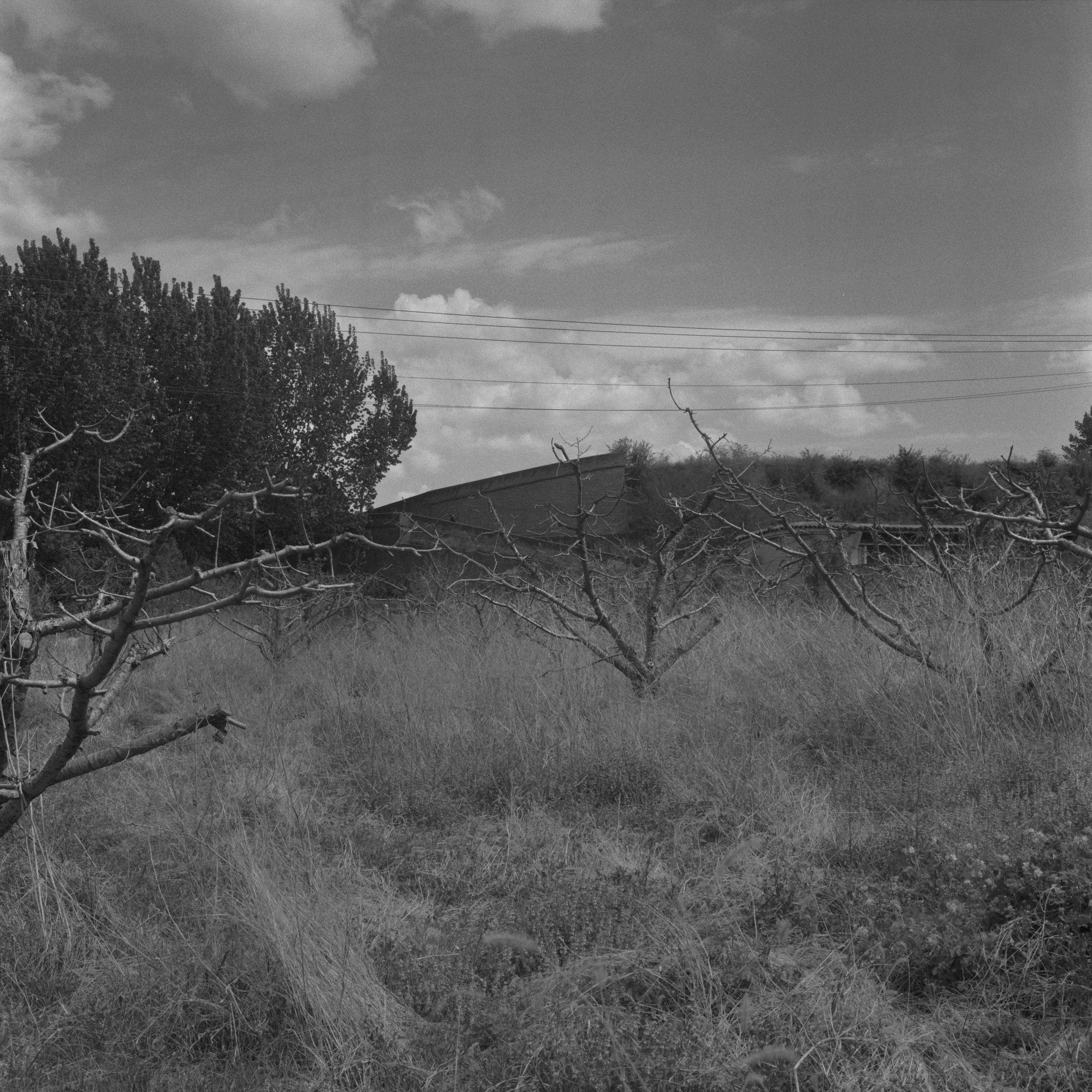 Between Mountains and Sea 33