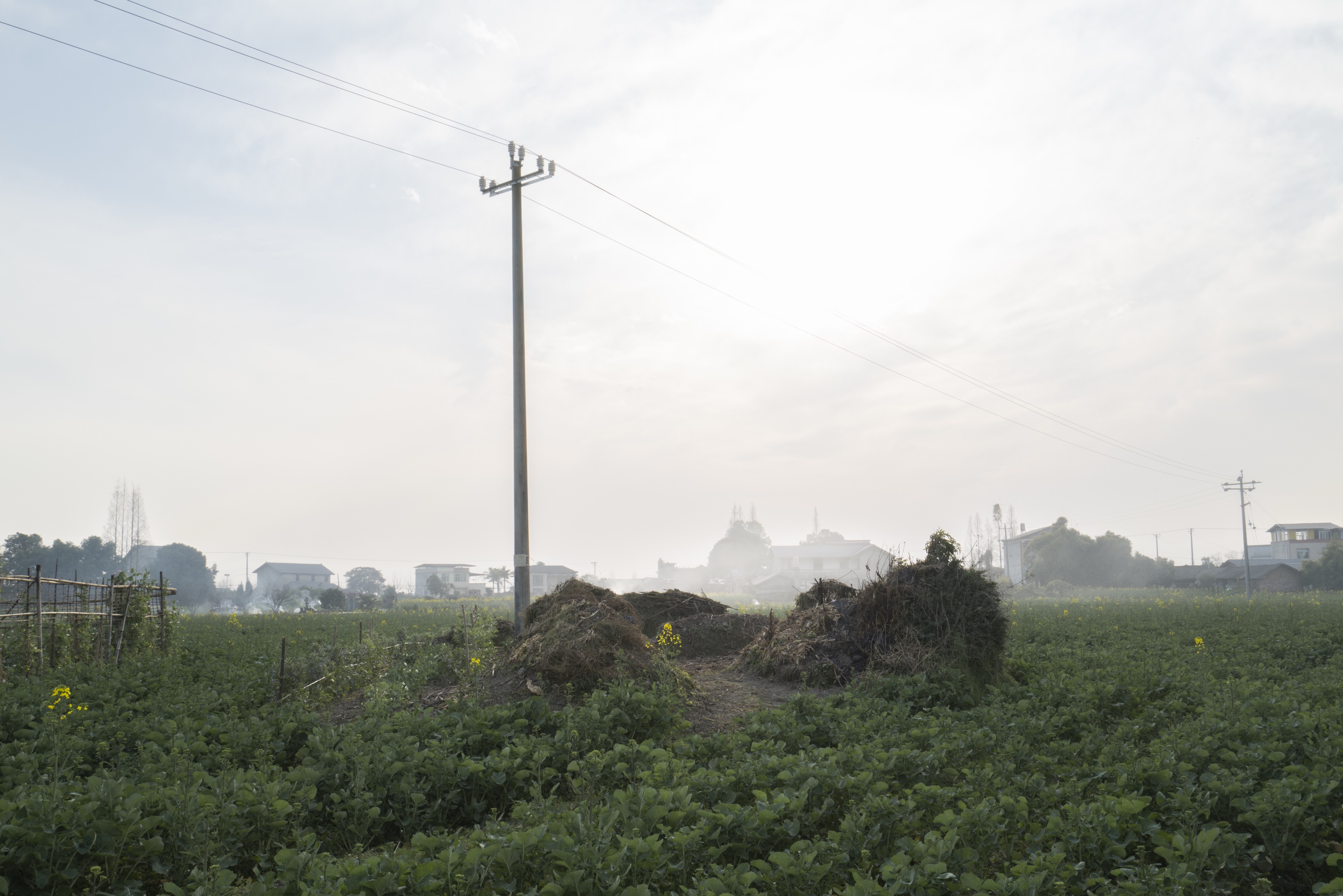 Lost in the Mist 9
